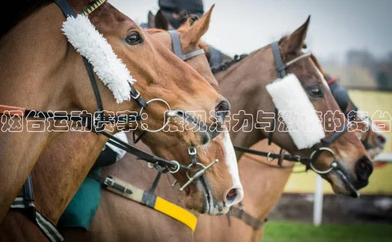 九游会登录入口官网